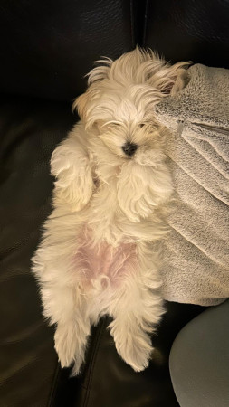 4-10-25 lekker bij papa en mama op de bank geslapen na een drukke dag